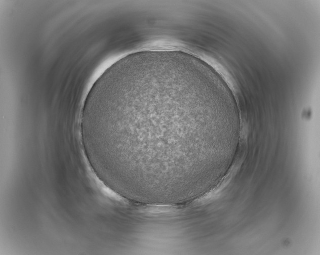 X0000094811486200711301540