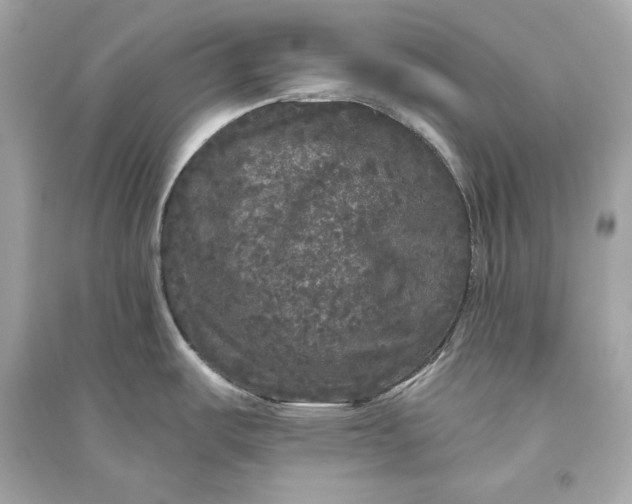 X0000094811487200711301540