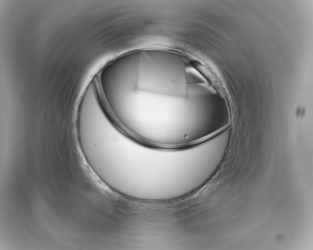 X0000094811488200711301540