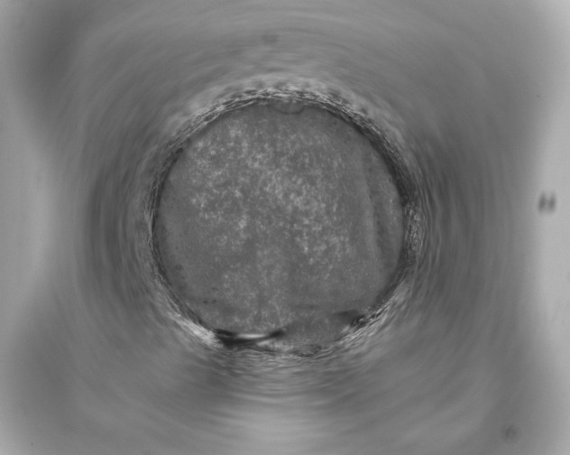 X0000094811489200711301540