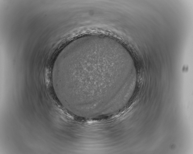 X0000094811490200711301540