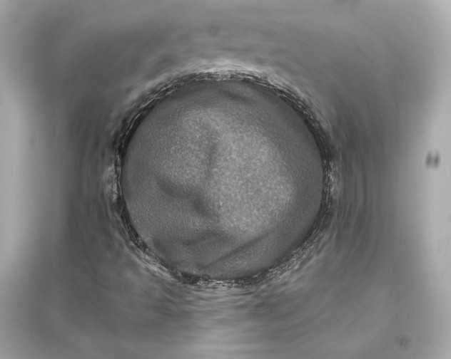 X0000094811493200711301540