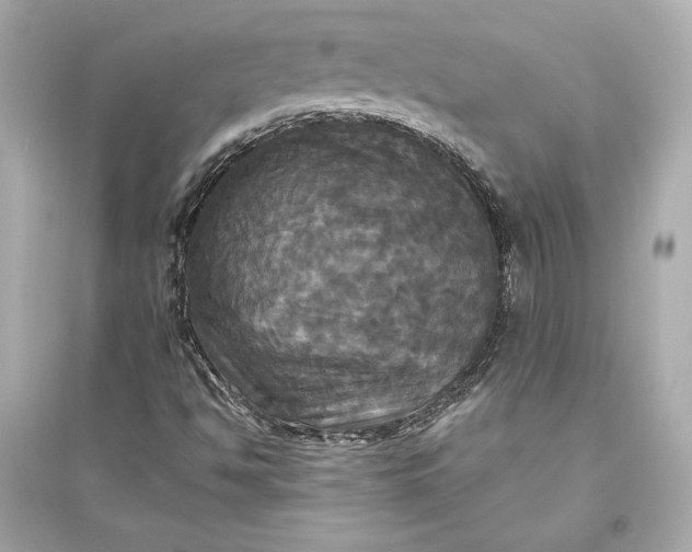 X0000094811494200711301540