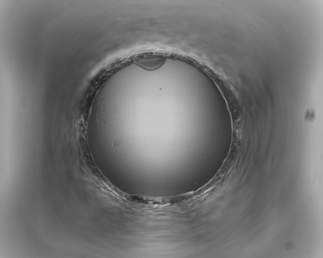 X0000094811495200711301540