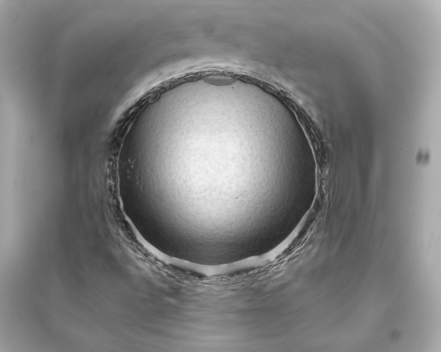 X0000094811496200711301540