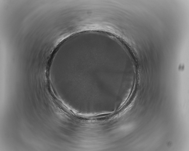 X0000094811497200711301540