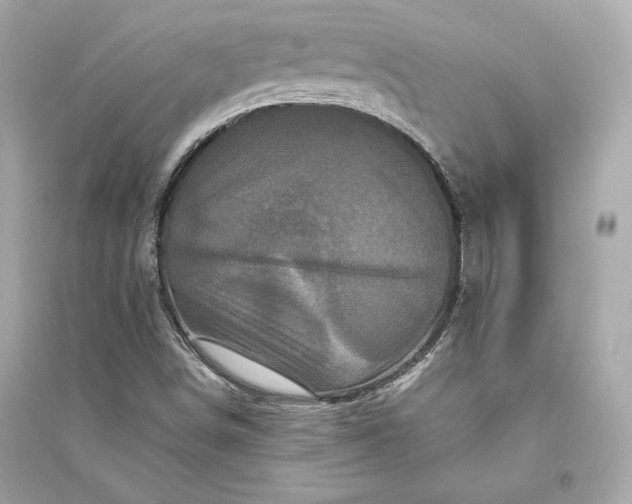 X0000094811498200711301540