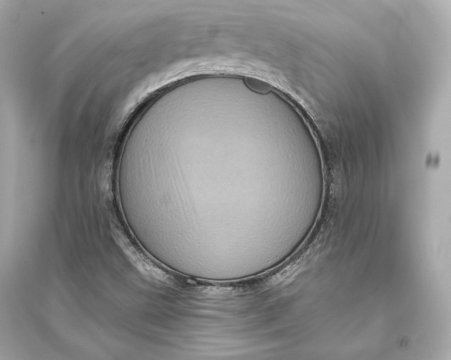 X0000094811499200711301540