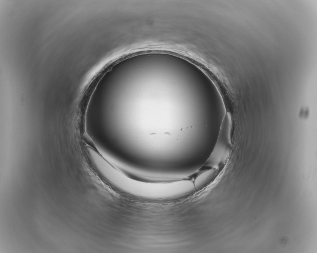 X0000094811502200711301540