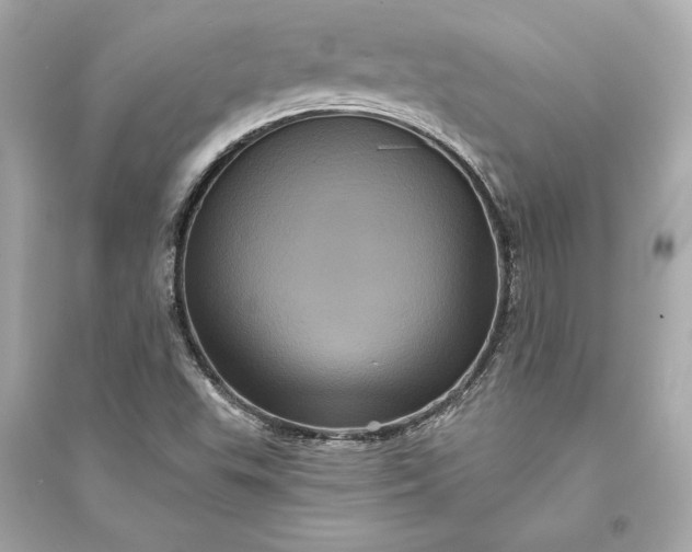 X0000094811503200711301540