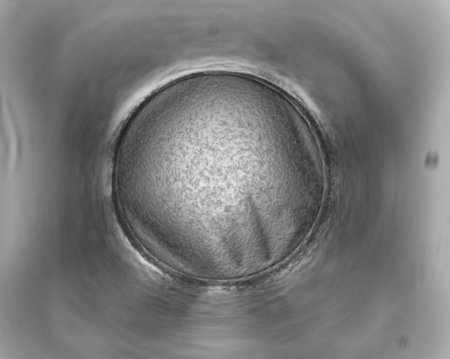 X0000094811504200711301540