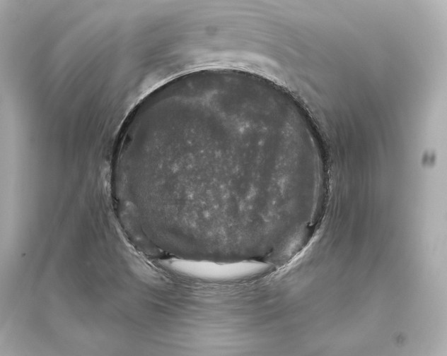 X0000094811505200711301540