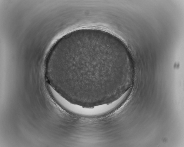 X0000094811506200711301540