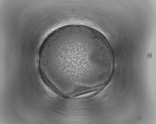 X0000094811507200711301540