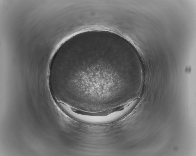 X0000094811508200711301540