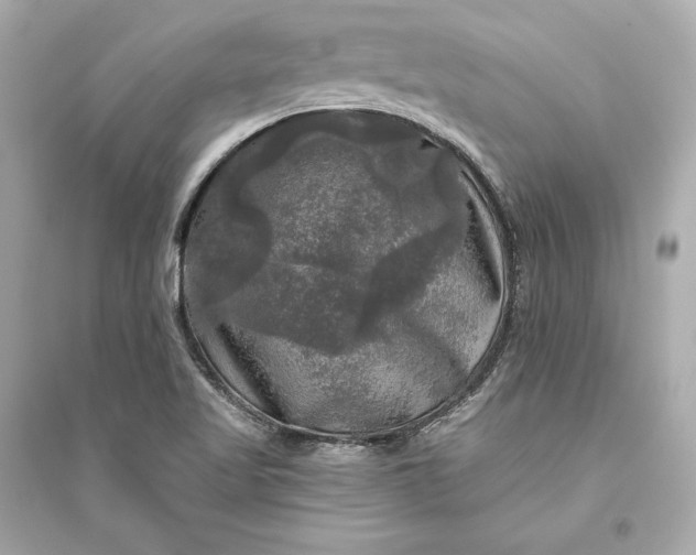 X0000094811509200711301540