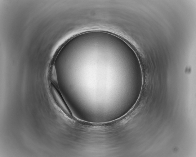 X0000094811510200711301540