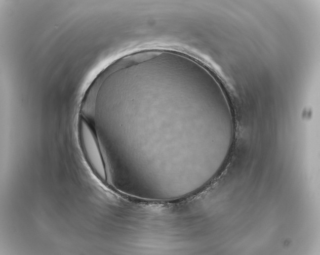 X0000094811512200711301540