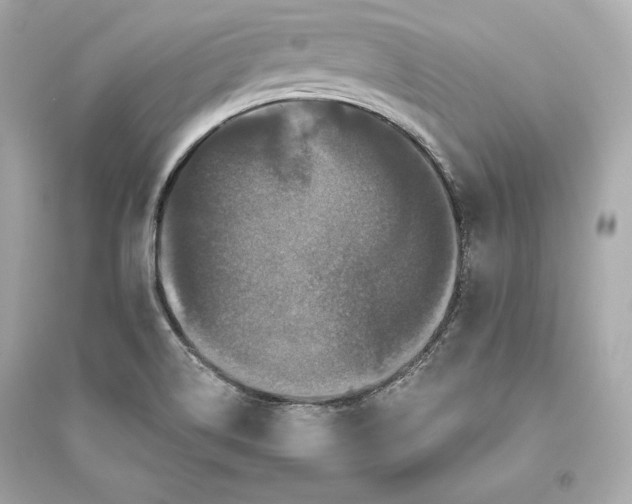 X0000094811514200711301540