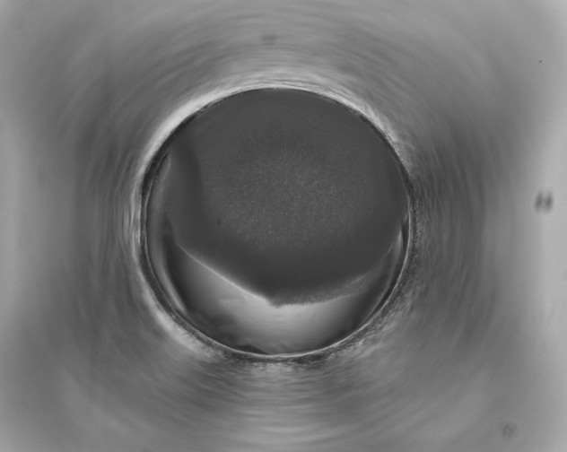 X0000094811515200711301540