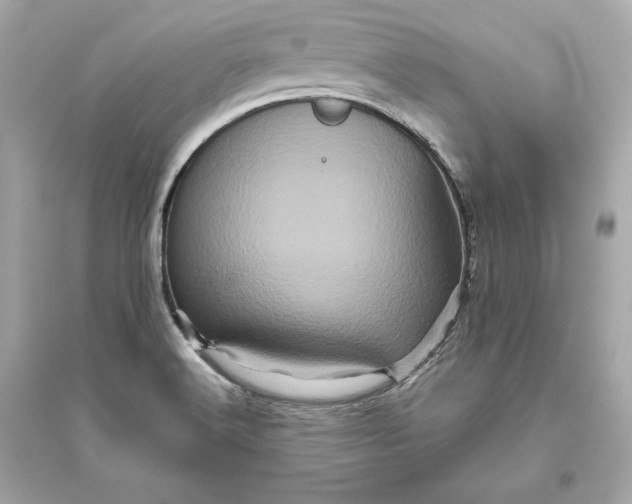 X0000094811516200711301540