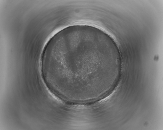 X0000094811517200711301540