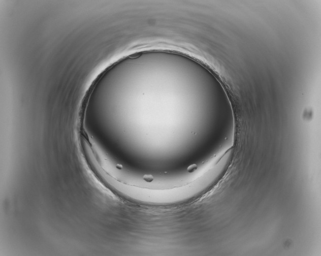 X0000094811518200711301540