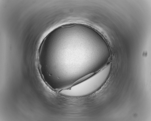 X0000094811520200711301540