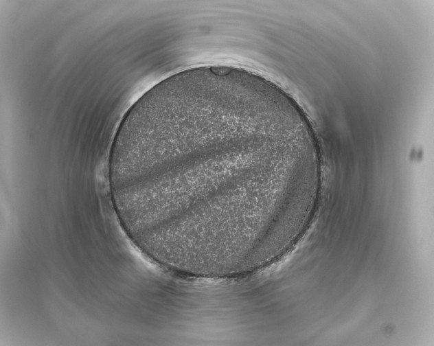 X0000094811521200711301540