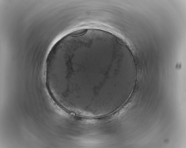 X0000094811522200711301540