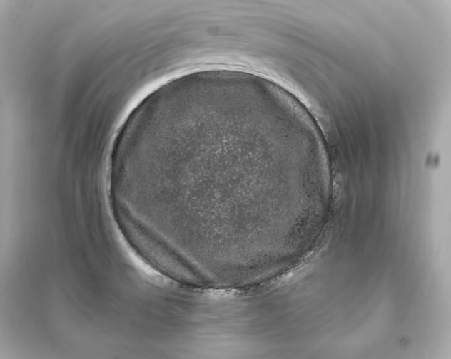 X0000094811523200711301540