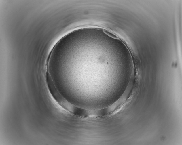 X0000094811524200711301540