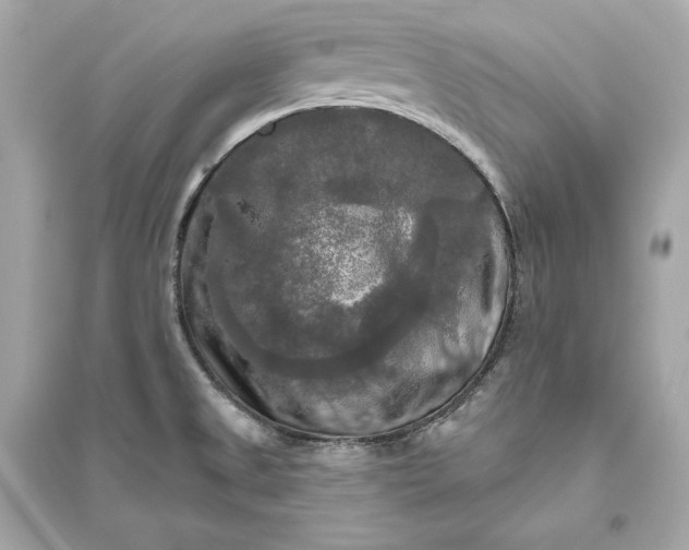 X0000094811525200711301540