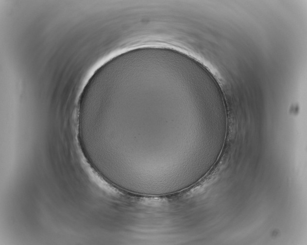 X0000094811526200711301540