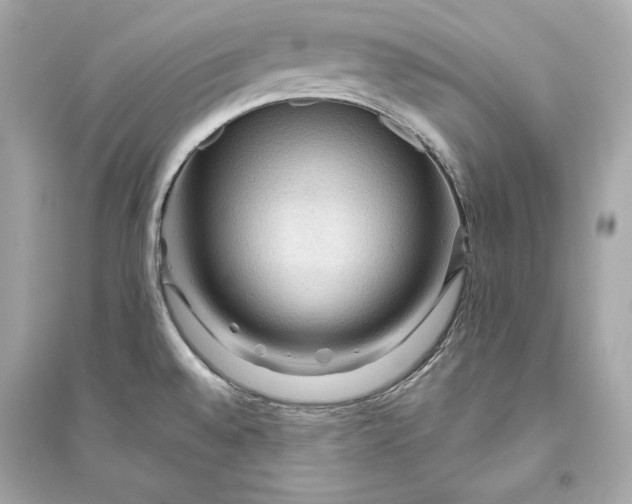 X0000094811528200711301540