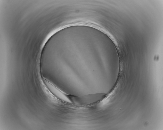 X0000094811530200711301540