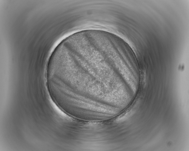 X0000094811531200711301540