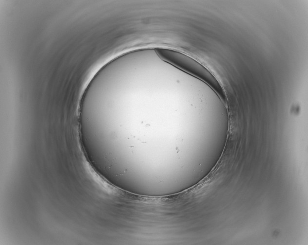 X0000094811532200711301540