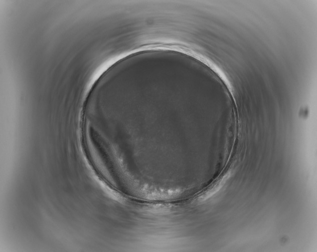 X0000094811533200711301540