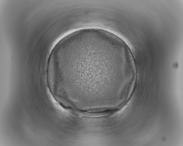 X0000094811534200711301540