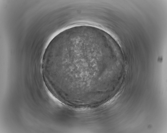 X0000094811535200711301540