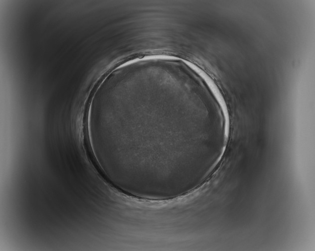 X0000094810002200712071235