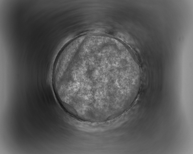 X0000094810003200712071235