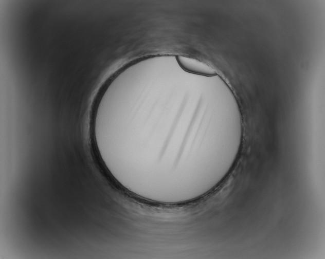 X0000094810008200712071235