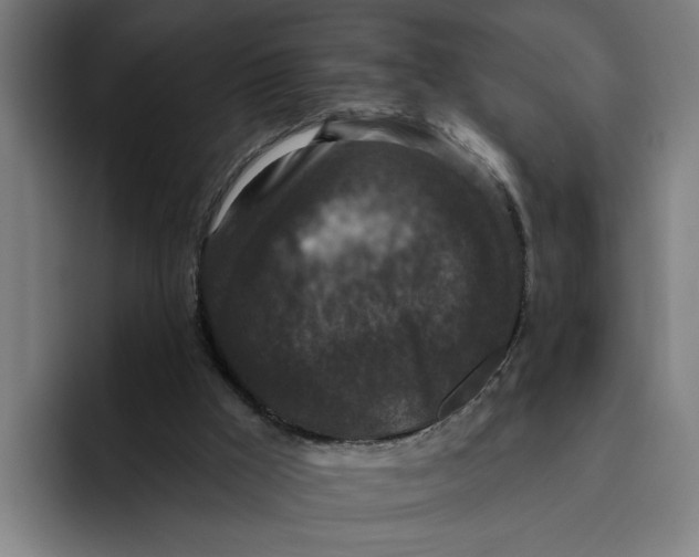 X0000094810009200712071235