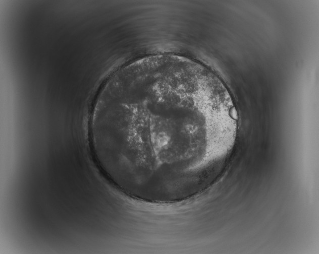 X0000094810010200712071235