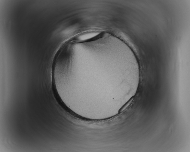 X0000094810011200712071235