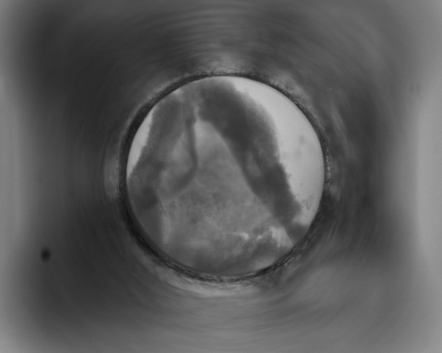 X0000094810012200712071235