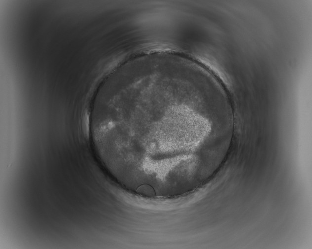 X0000094810014200712071235