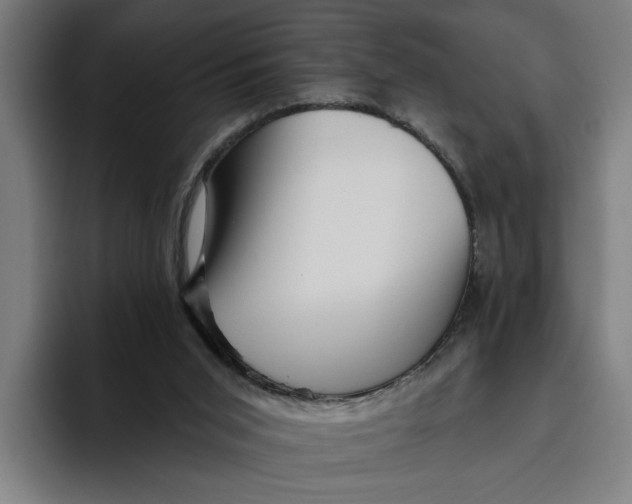 X0000094810015200712071235